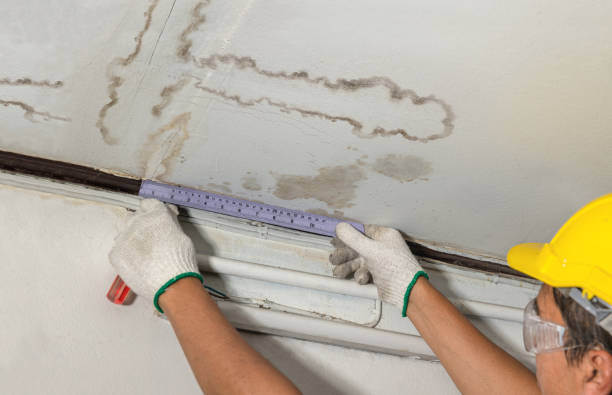 Reliable Water Damage Repair contractor in Kansas, KS by Hirex Water Damage